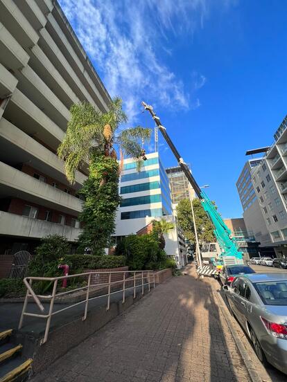 Crane in building industry