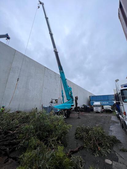 Crane on contruction site.